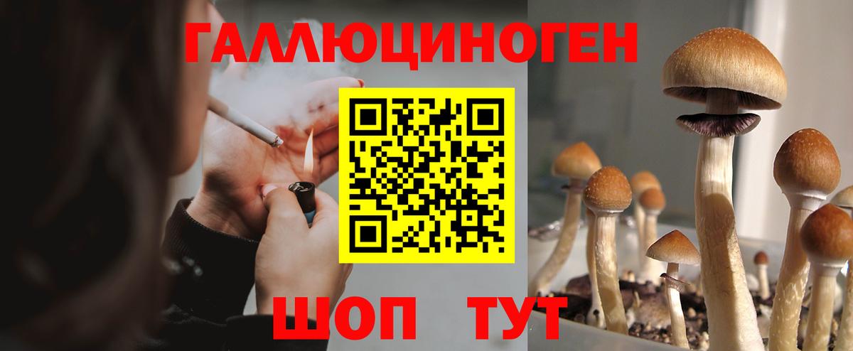 Трёхгорный  Галлюциногенные грибы Psilocybe  Вход с VPN 