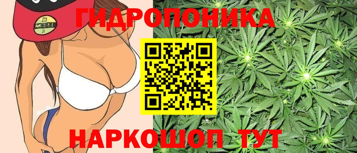 Трёхгорный  Канабис ГИДРОПОН  Конопля AK-47  Вход с VPN  Бошки Шишки SATIVA & INDICA 